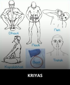 Kriyas