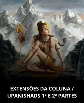 Parte 5_