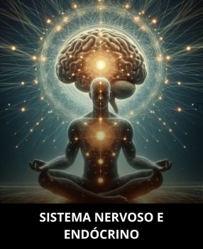 Sistema Nervoso e Endócrino