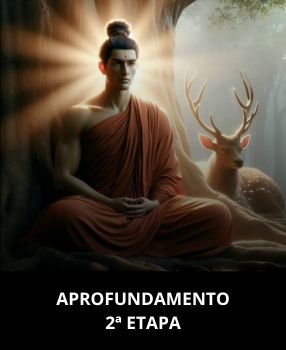 Aprofundamento 2 etapa