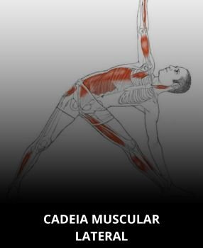 Cadeia muscular lateral_