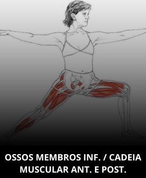 Membros inferiores
